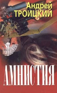 Обложка Амнистия