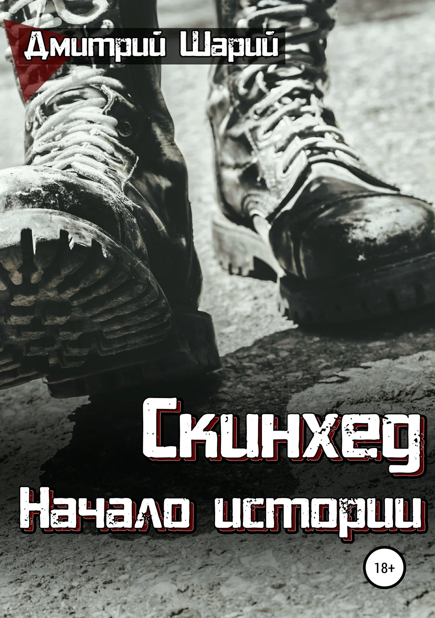 Обложка Скинхед. Начало истории