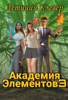 Обложка Академия элементов 3