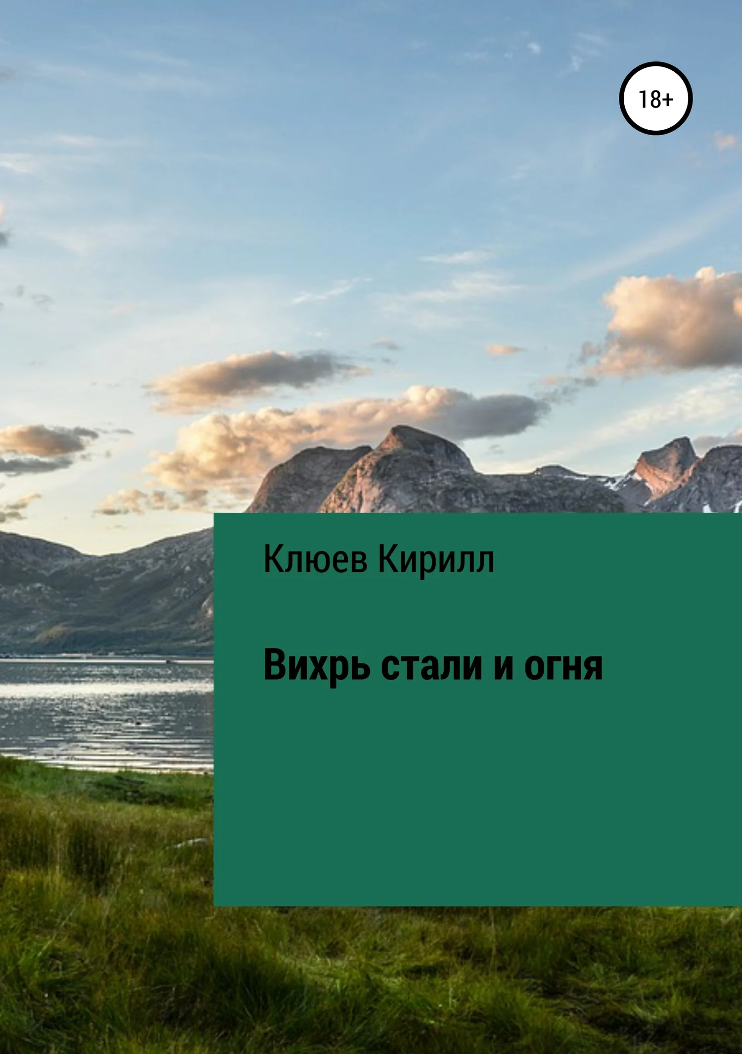 Обложка Вихрь стали и огня