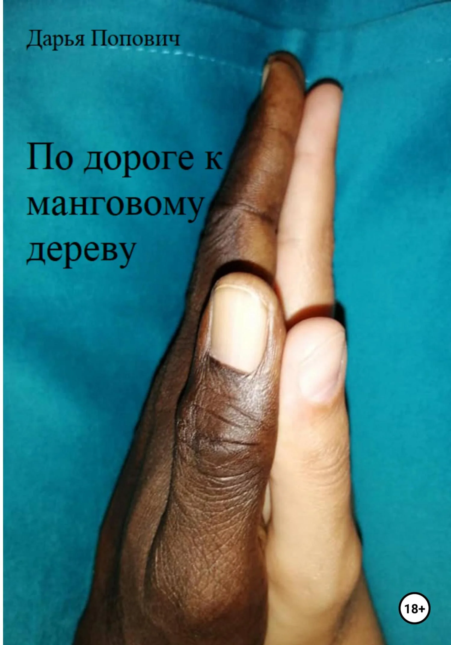 Обложка По дороге к манговому дереву