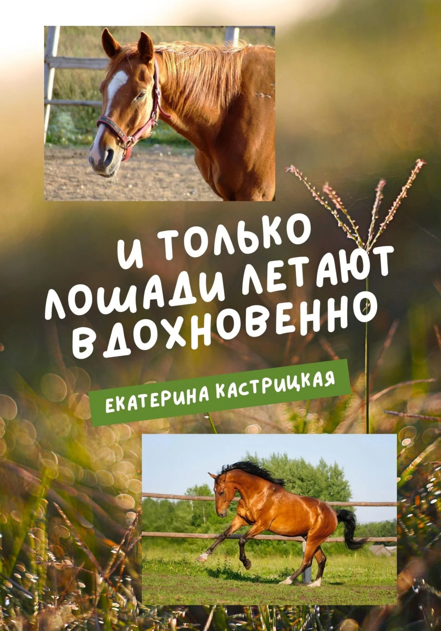 Обложка И только лошади летают вдохновенно