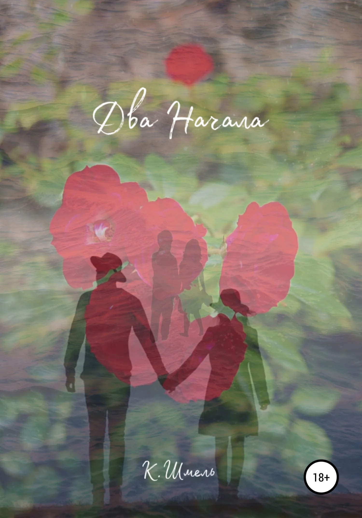 Обложка Два начала