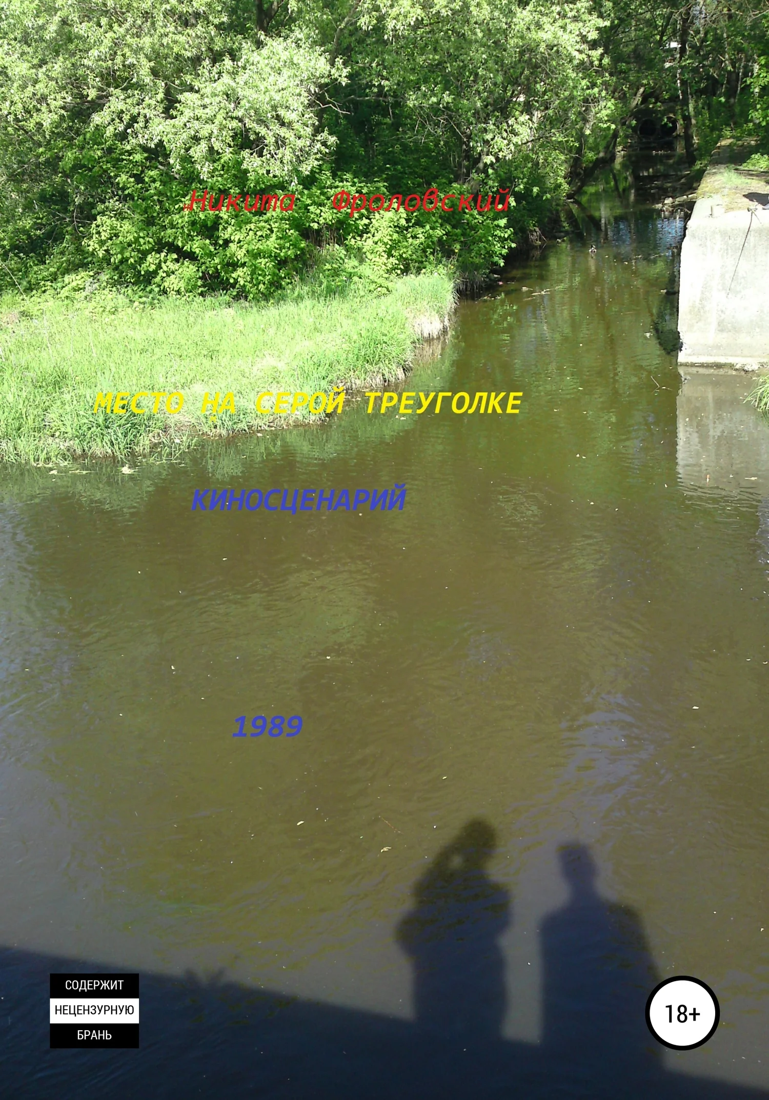 Обложка Место на серой треуголке