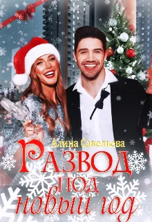 Обложка Развод под новый год