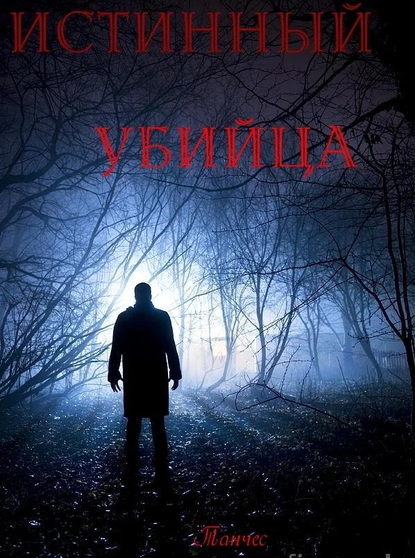 Обложка Истинный убийца