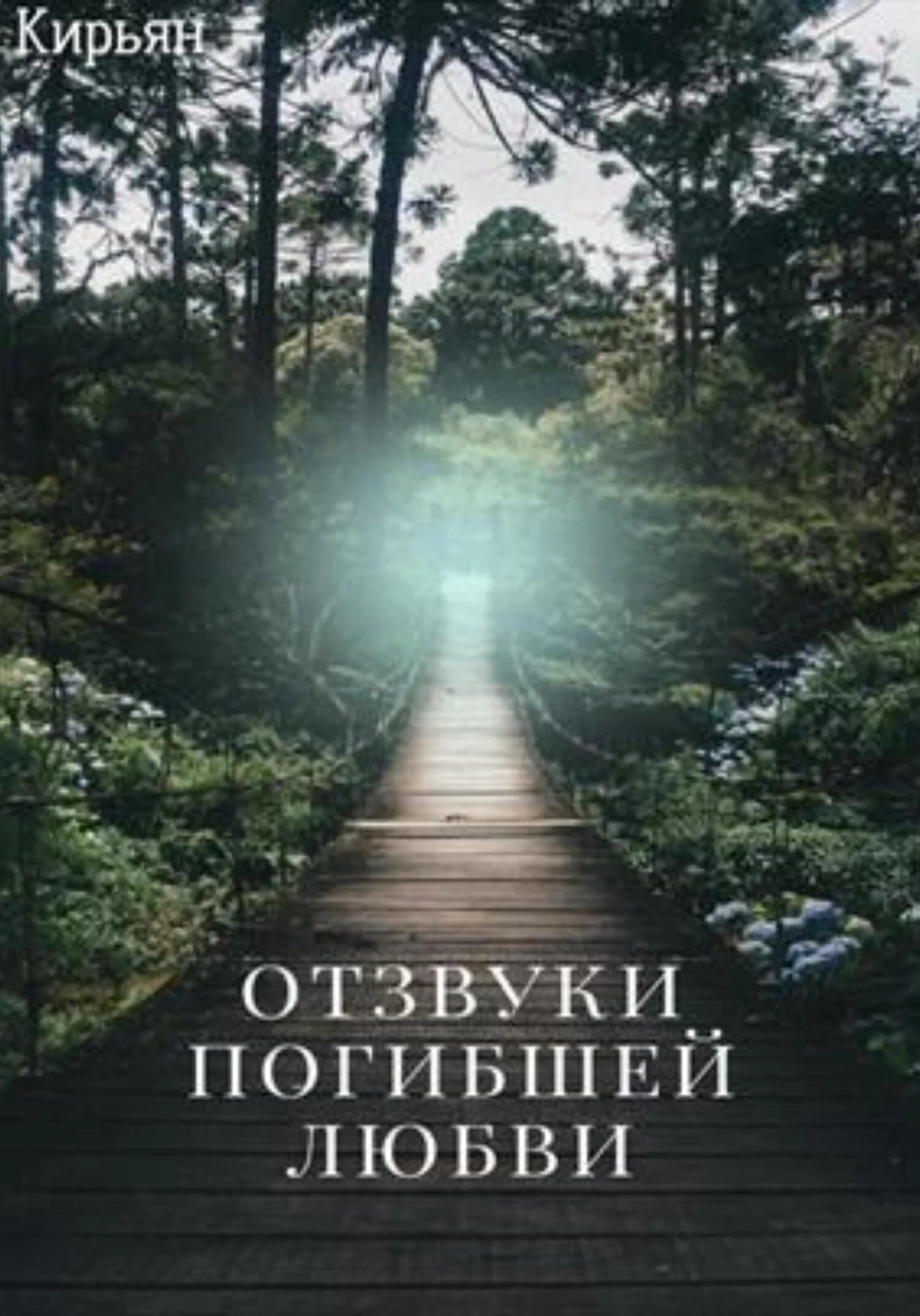 Обложка Отзвуки погибшей любви