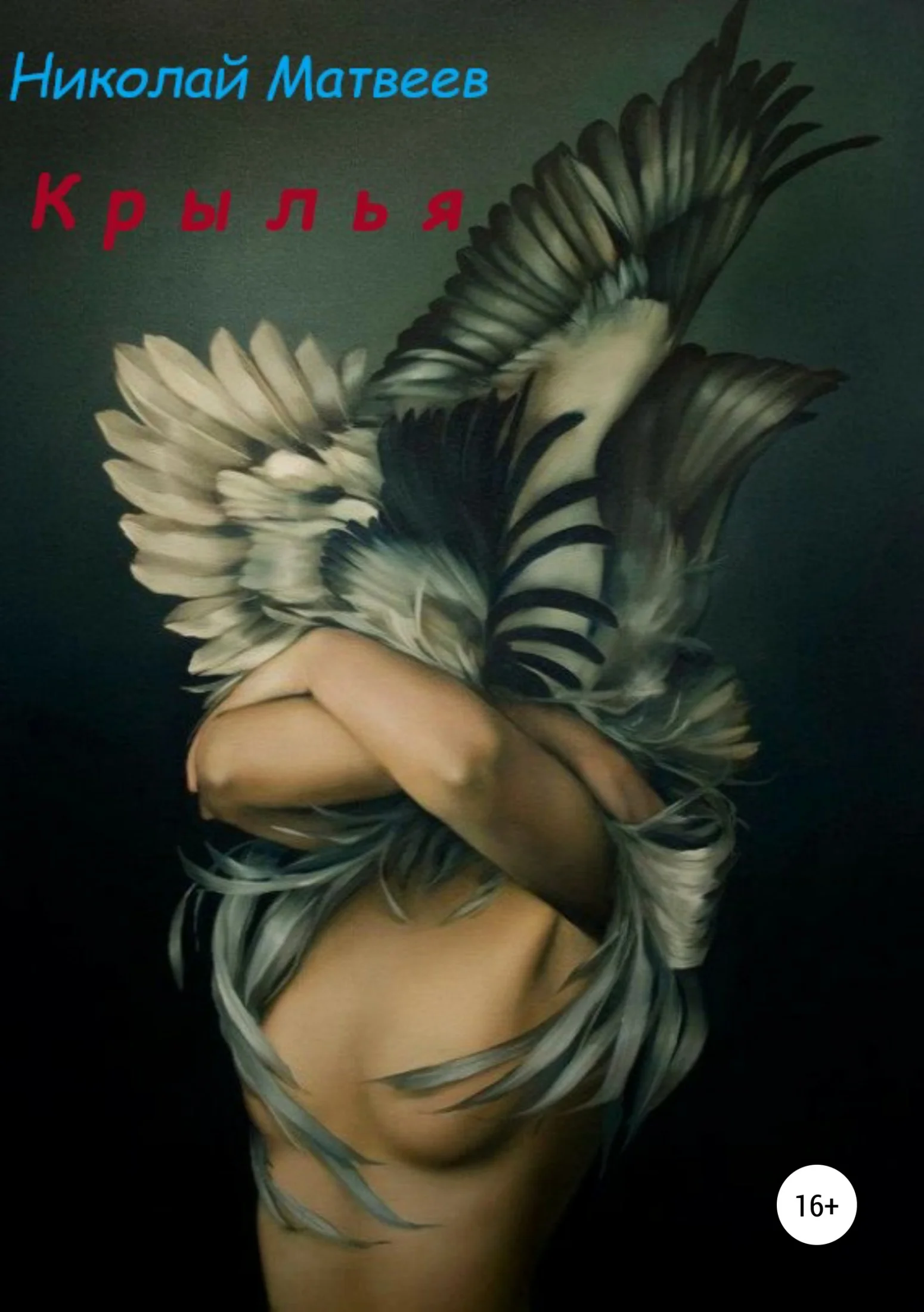 Обложка Крылья