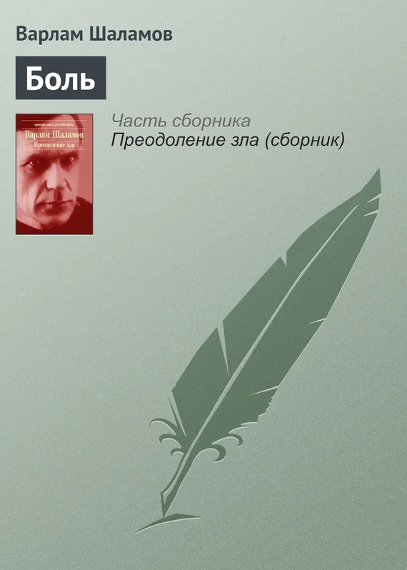 Обложка Боль