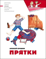 Обложка Прятки