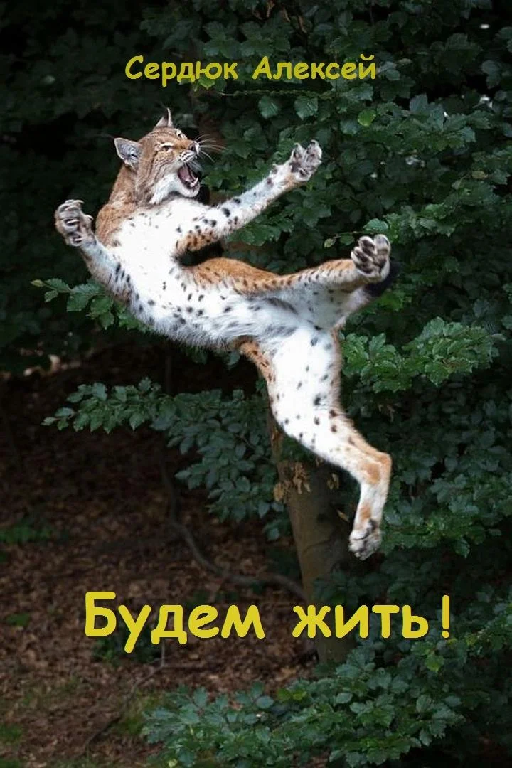 Обложка Будем жить!