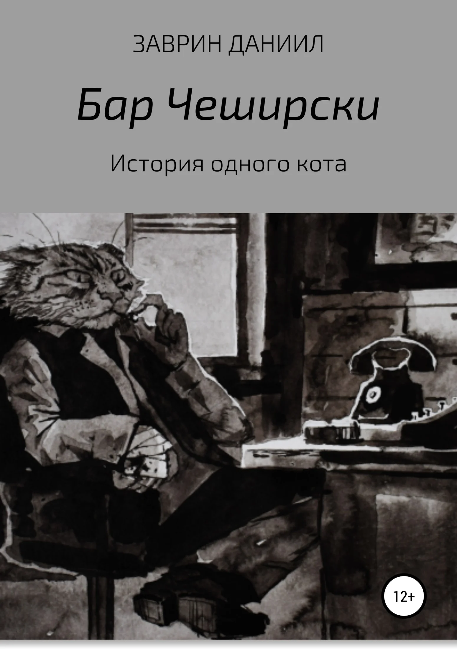 Обложка История одного кота