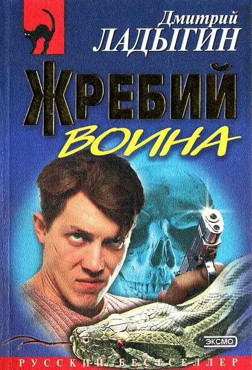 Обложка Жребий воина