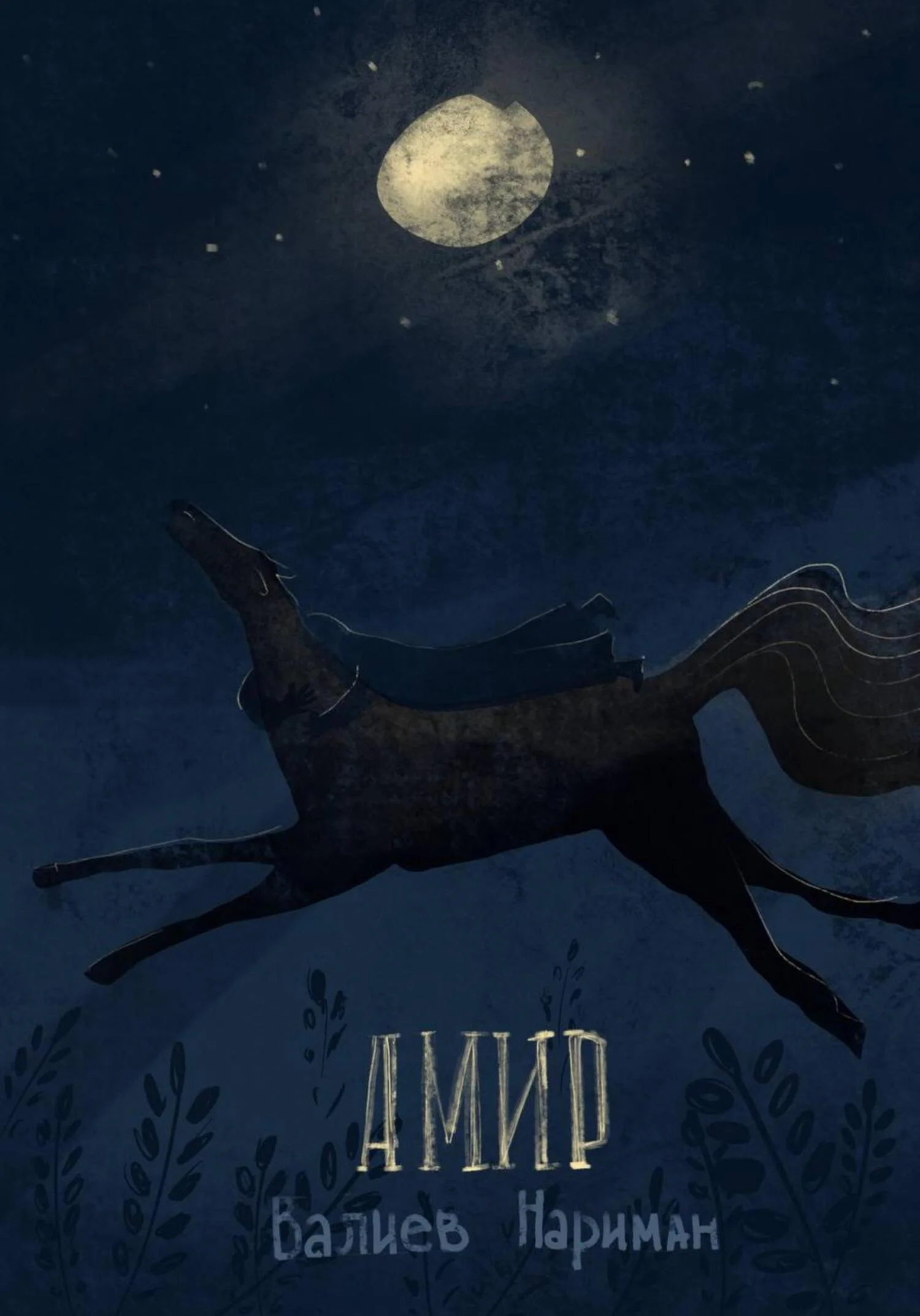 Обложка Амир