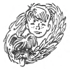 Обложка Победителят на невъзможното