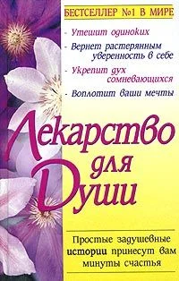 Обложка Куриный бульон для души