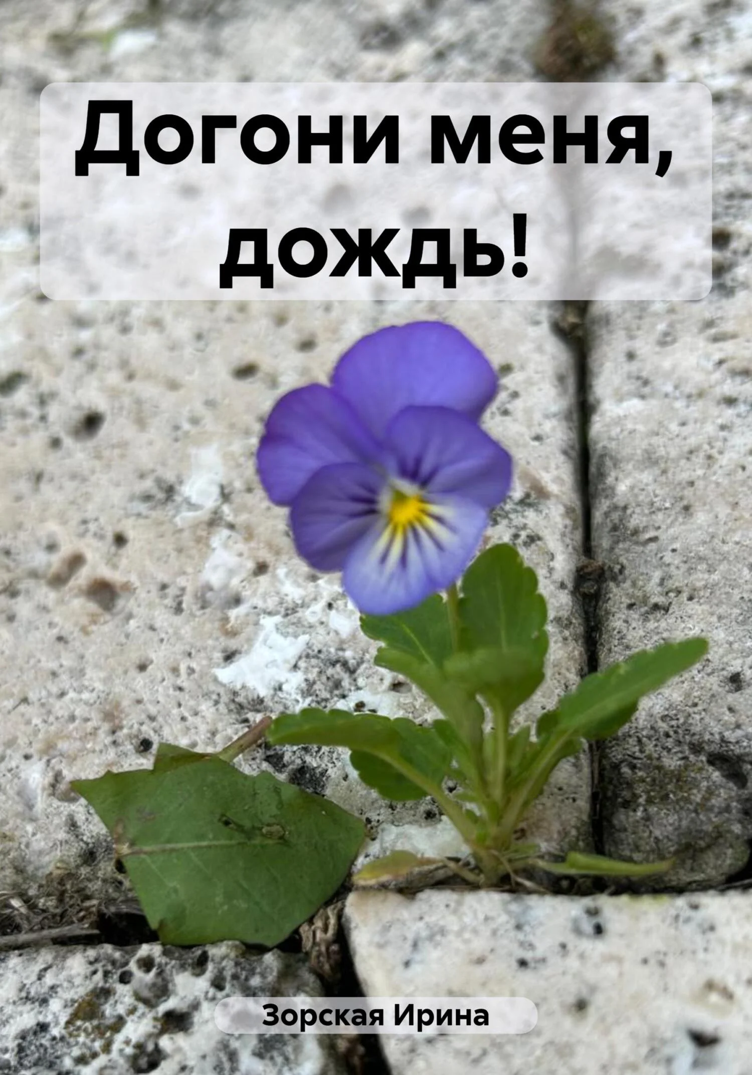 Обложка Догони меня, дождь!