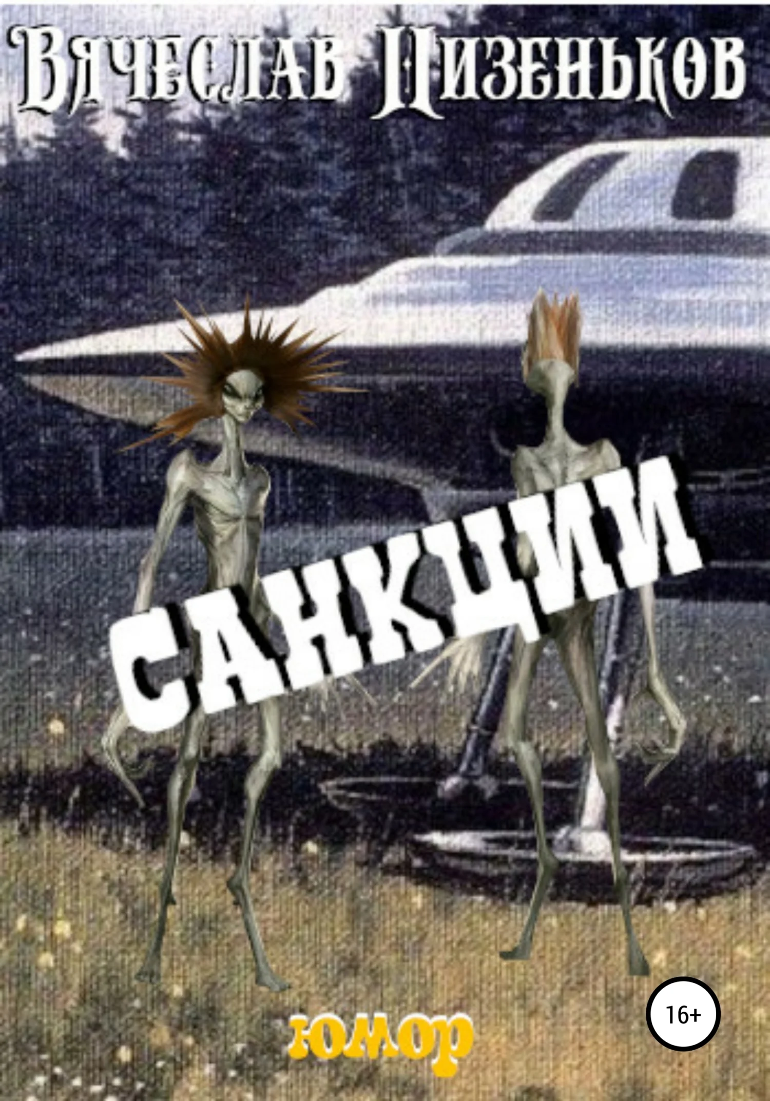 Обложка Санкции