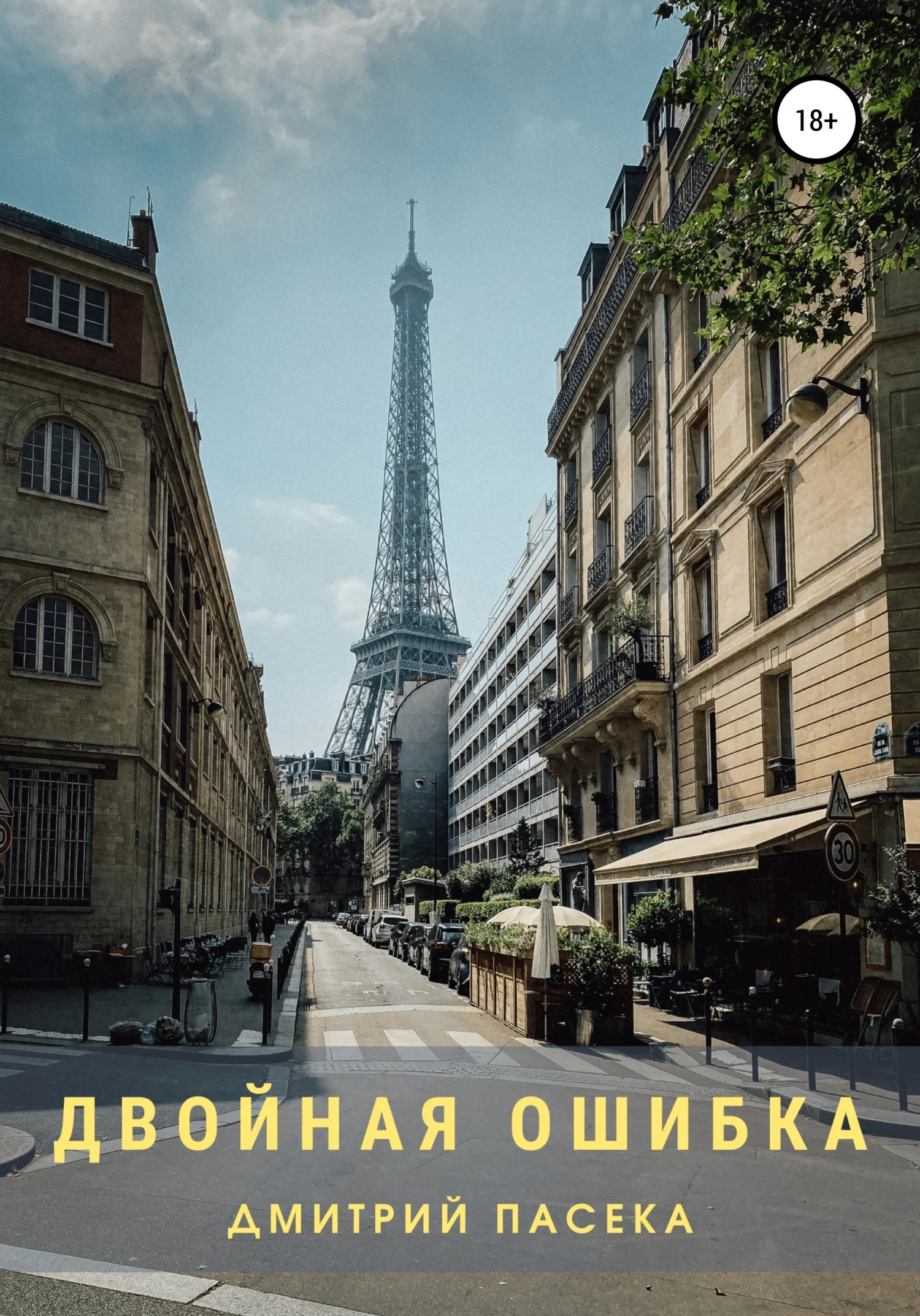 Обложка Двойная ошибка