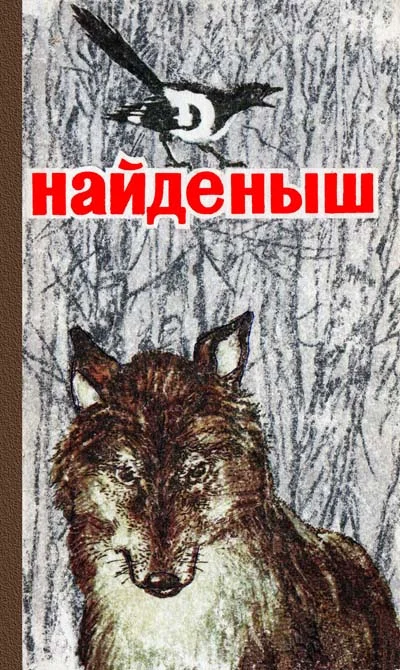 Обложка Найденыш