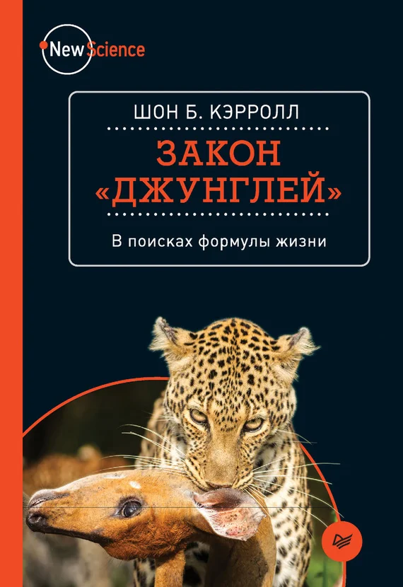 Обложка Закон «джунглей». В поисках формулы жизни