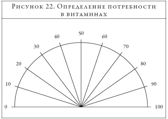 Обложка Маятник и биоэнергетика: ответы на любые вопросы в режиме «здесь и сейчас»