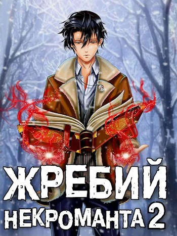 Обложка Жребий некроманта #2