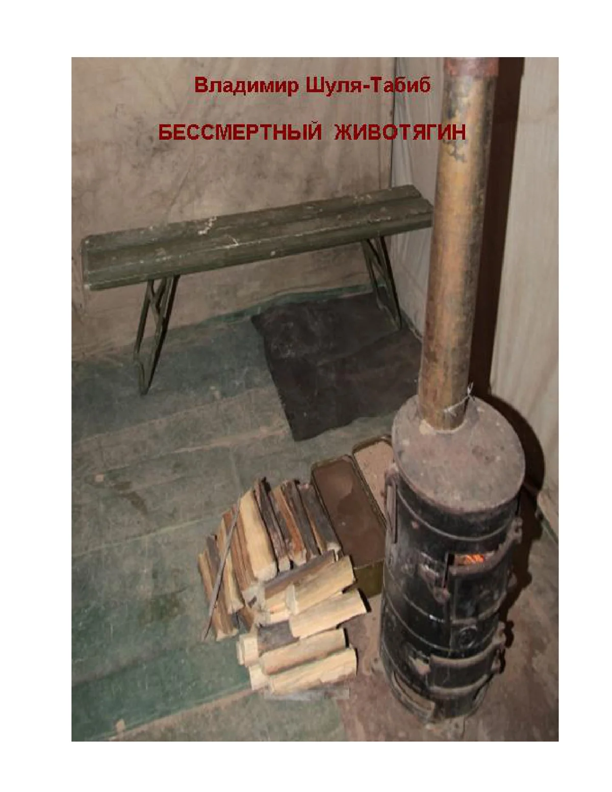 Обложка Бессмертный Животягин