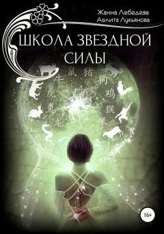 Обложка Школа Звездной Силы