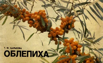 Обложка Облепиха