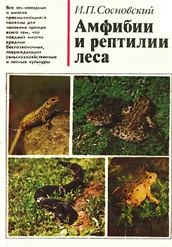 Обложка Амфибии и рептилии леса