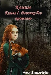 Обложка Девочка без прошлого