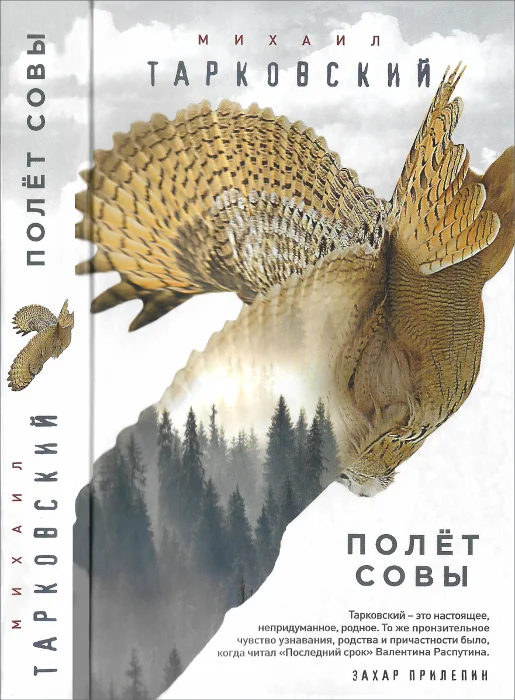 Обложка Полёт совы