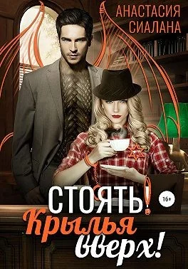 Обложка Стоять! Крылья вверх!