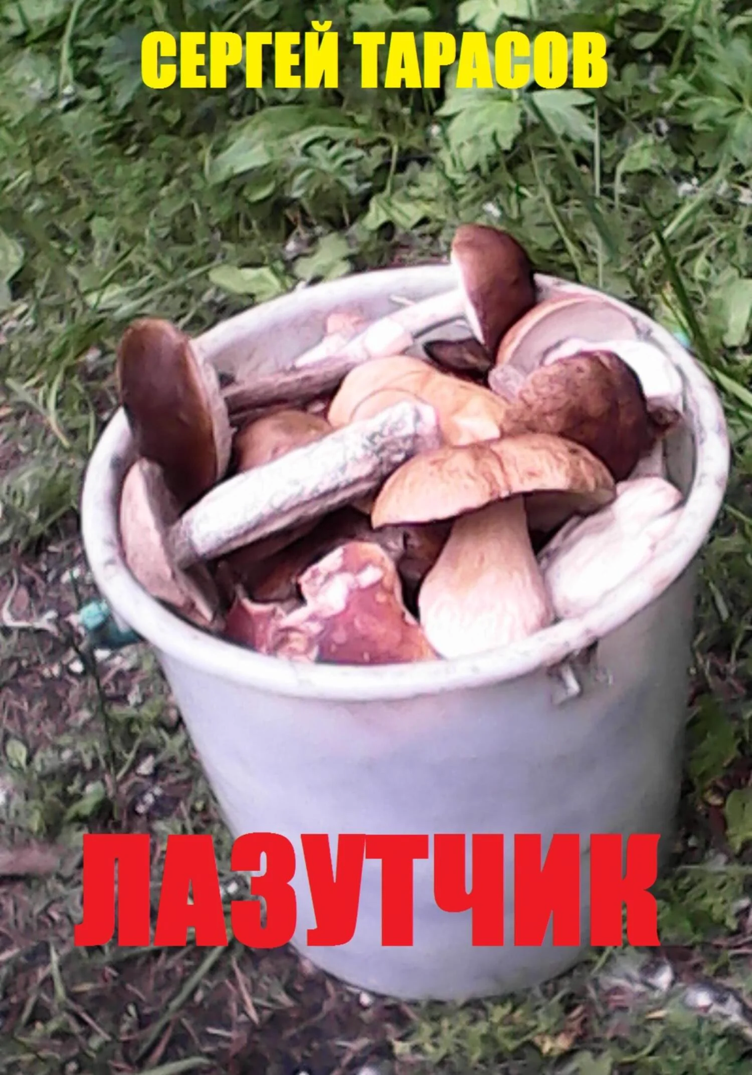 Обложка Лазутчик