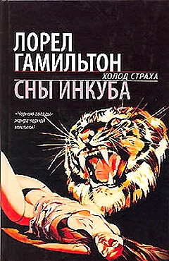 Обложка Сны инкуба