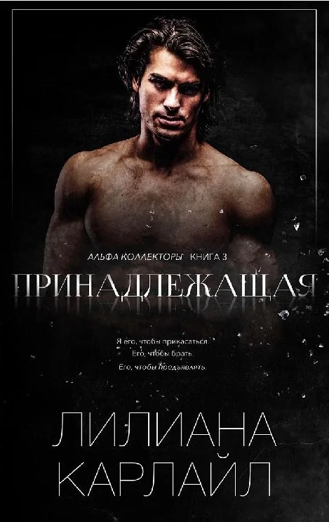 Обложка Принадлежащая