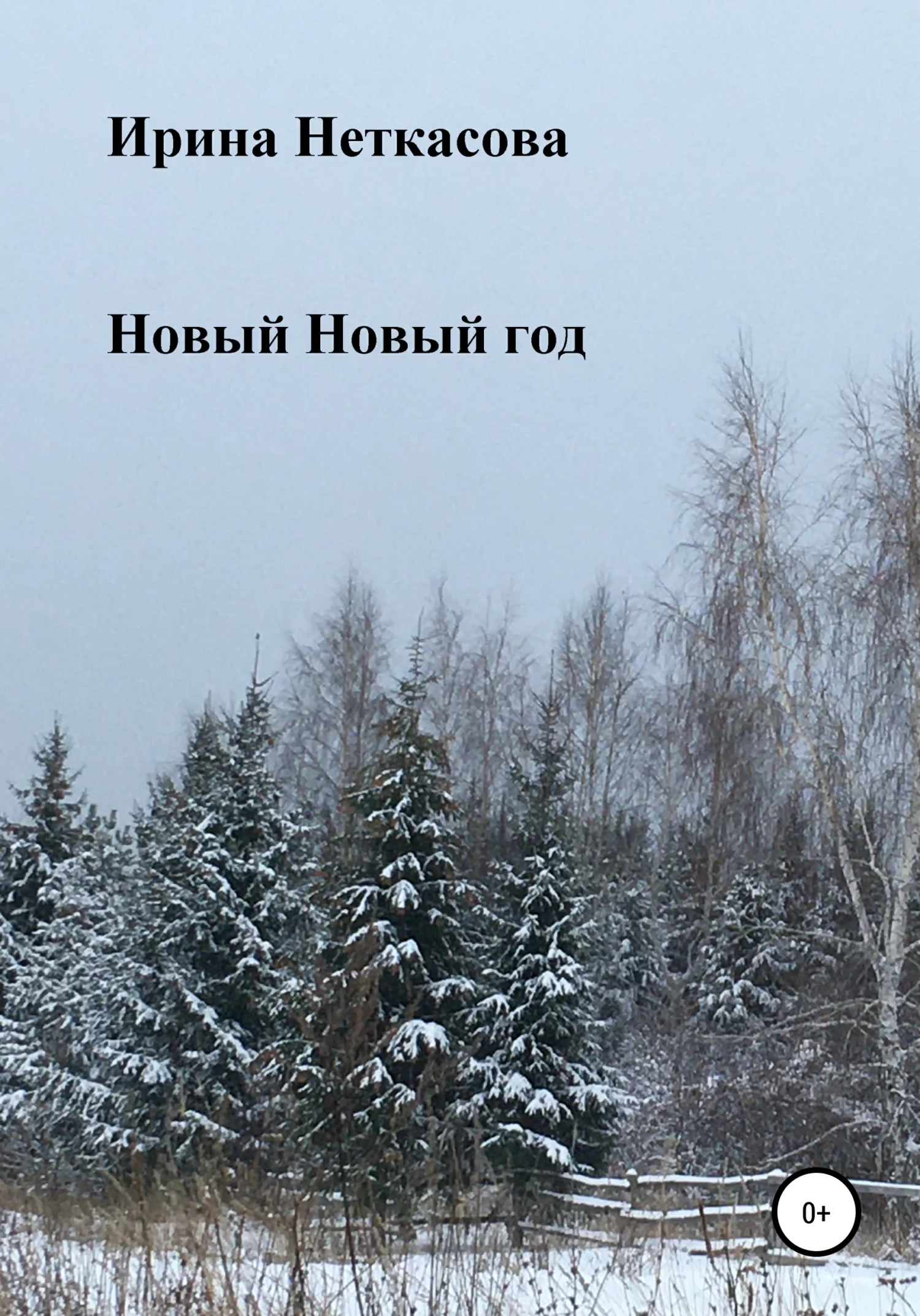 Обложка Новый Новый год