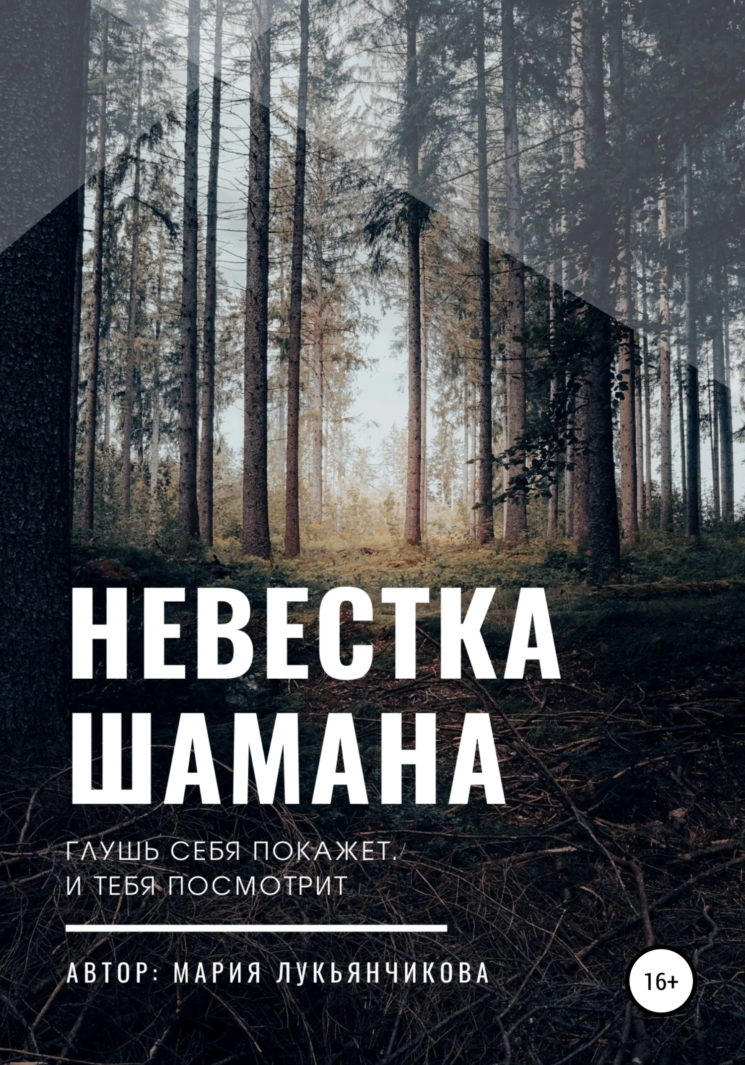 Обложка Невестка шамана