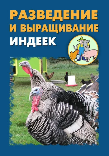 Обложка Разведение и выращивание индеек