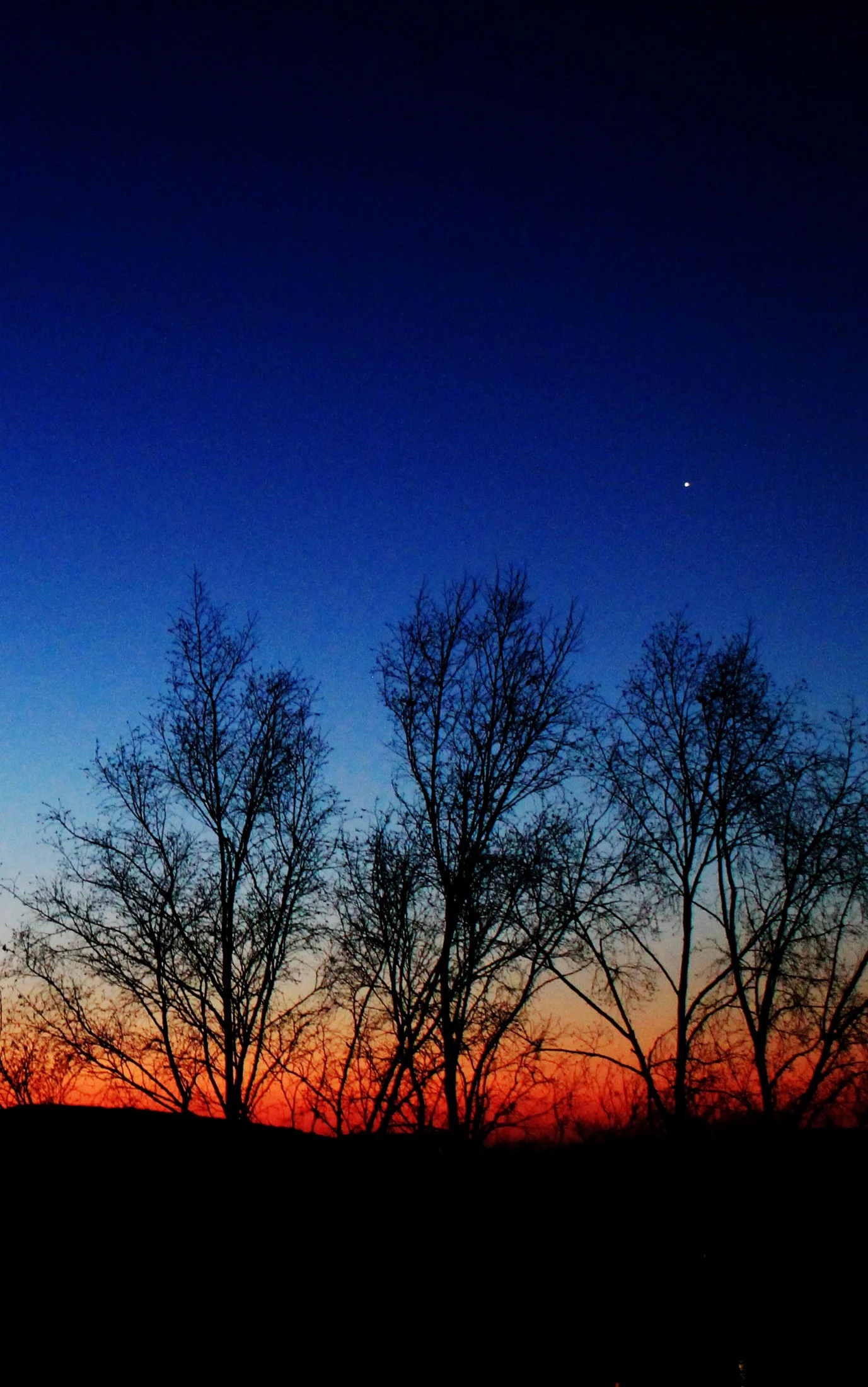 Обложка Искусственный свет