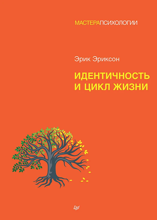 Обложка Идентичность и цикл жизни