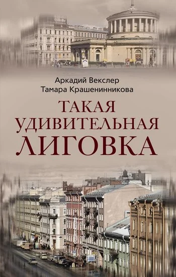 Обложка Такая удивительная Лиговка