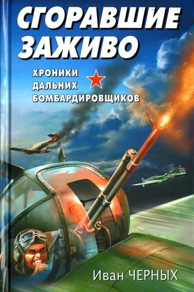 Обложка Сгоравшие заживо. Хроники дальних бомбардировщиков