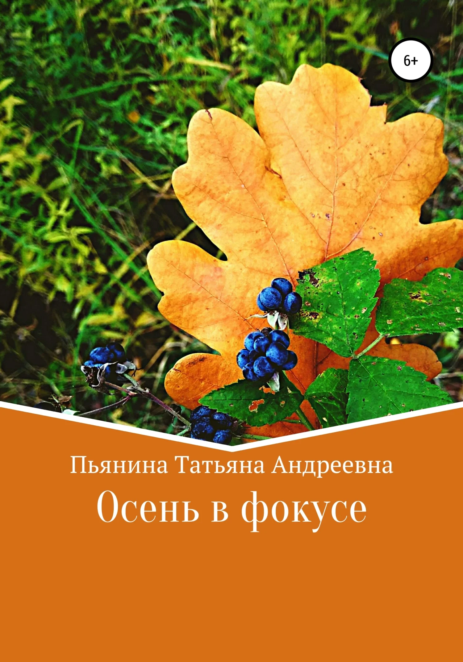 Обложка Осень в фокусе