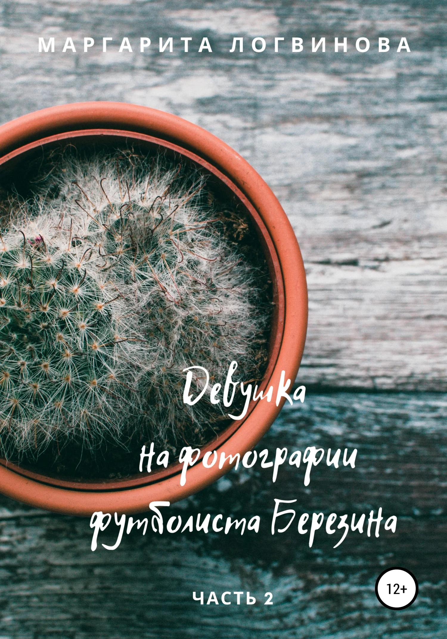 Обложка Девушка на фотографии футболиста Березина. Часть 2