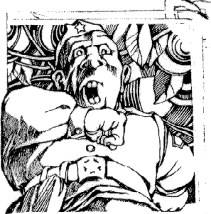 Обложка Разрешите доложить!