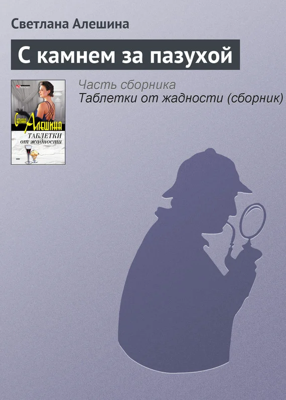 Обложка С камнем за пазухой