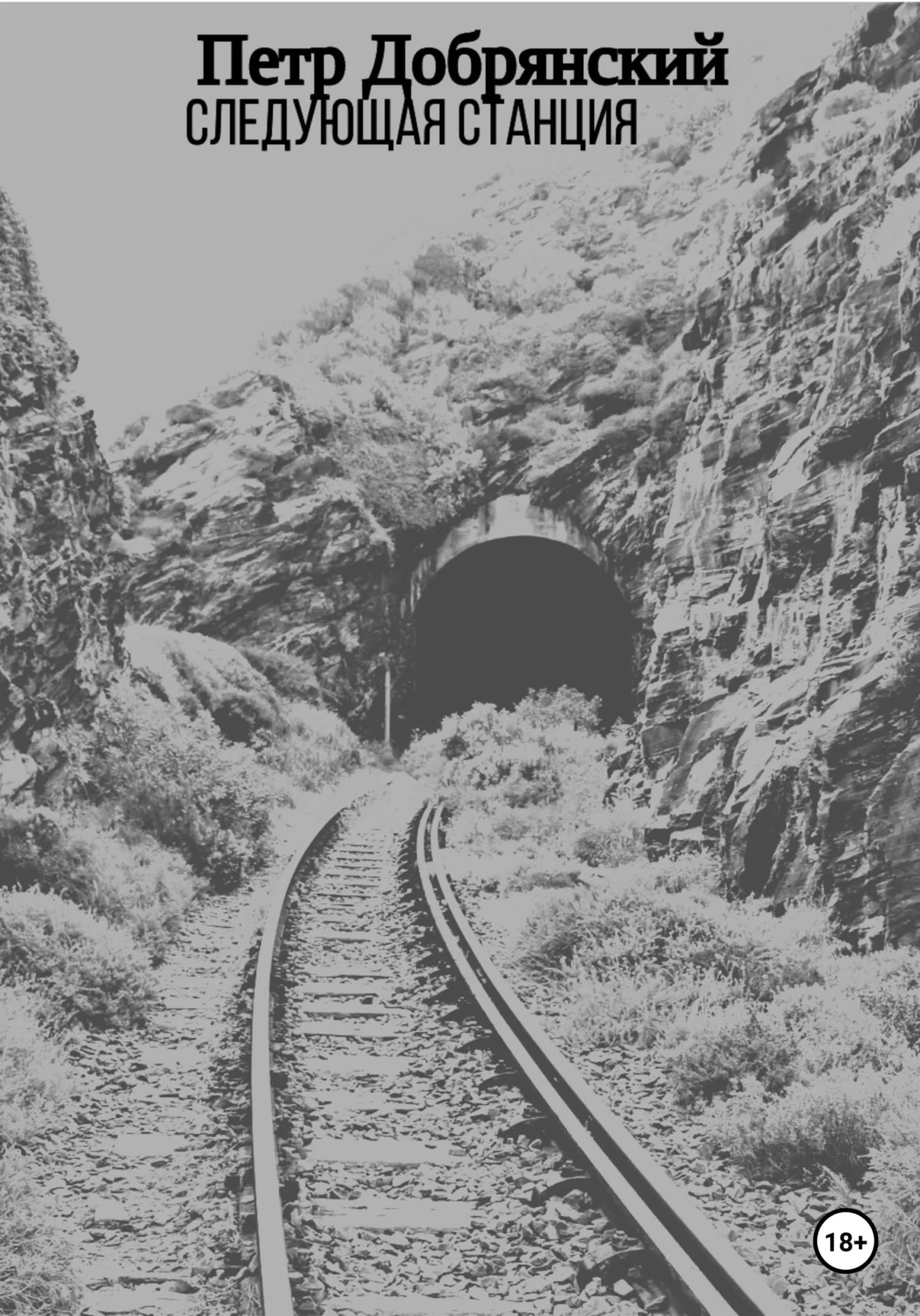 Обложка Следующая станция