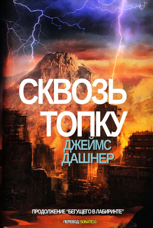 Обложка Сквозь Топку